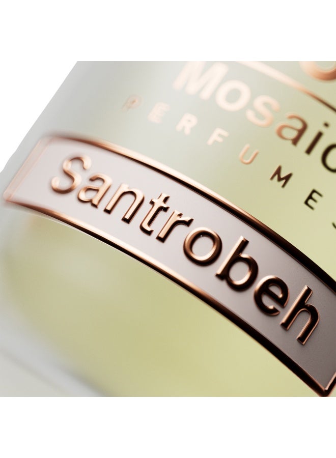 بلووم سانتروبيه - Image 3